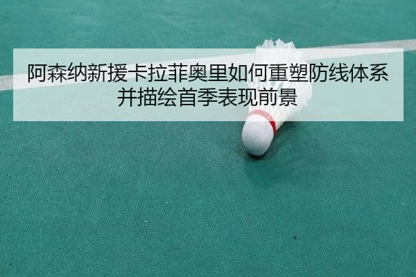 阿森纳新援卡拉菲奥里如何重塑防线体系并描绘首季表现前景