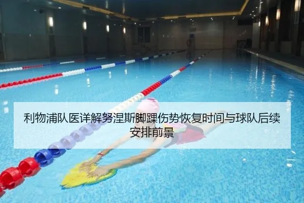 利物浦队医详解努涅斯脚踝伤势恢复时间与球队后续安排前景